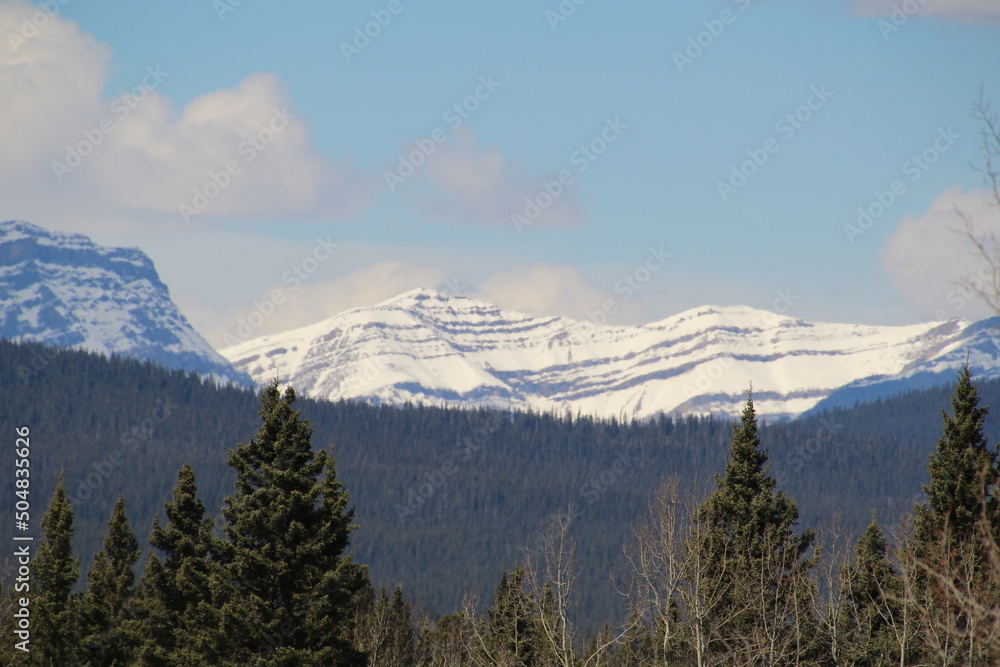 Naklejka premium Snowy Ridge, Nordegg, Alberta