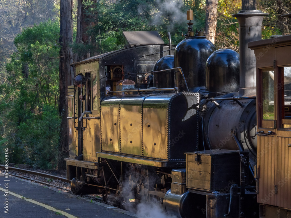 Fototapeta premium Small Steam Loco