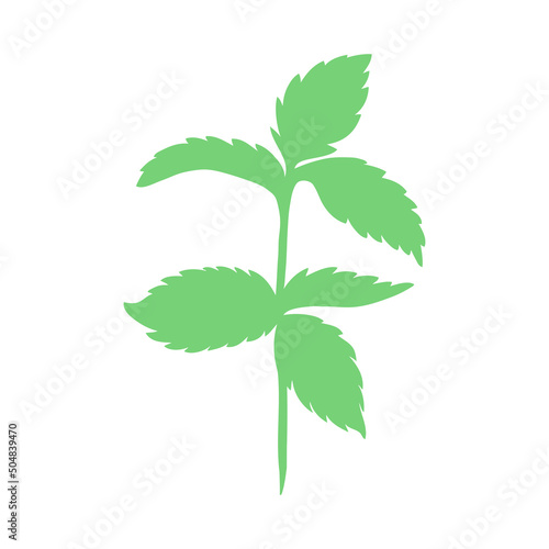 Mint branch, leaves shape isolated on white, Hand drawn vector spicy herb, Doodle cooking ingredient peppermint silhouette green twig for design natural cosmetic, organic medicine, herbal tea package