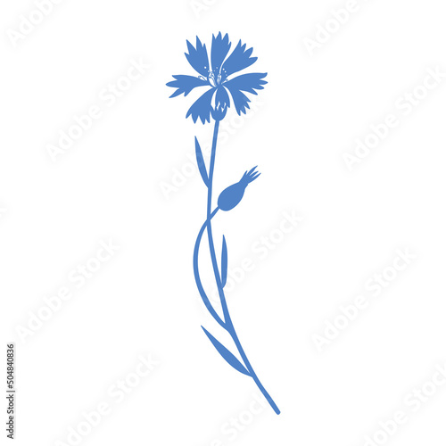 Decorative Cornflower, knapweed vector hand drawn illustration isolated on white, colorful flower, bud, doodle sketch, Centaurea botanical herb silhouette for design herbal tea, cosmetic, medicine