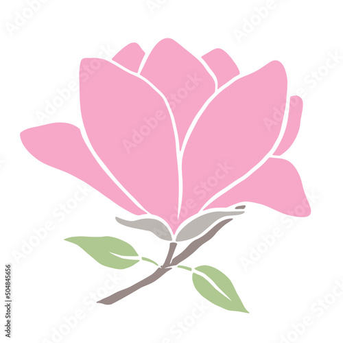 Pink magnolia flower with leaves