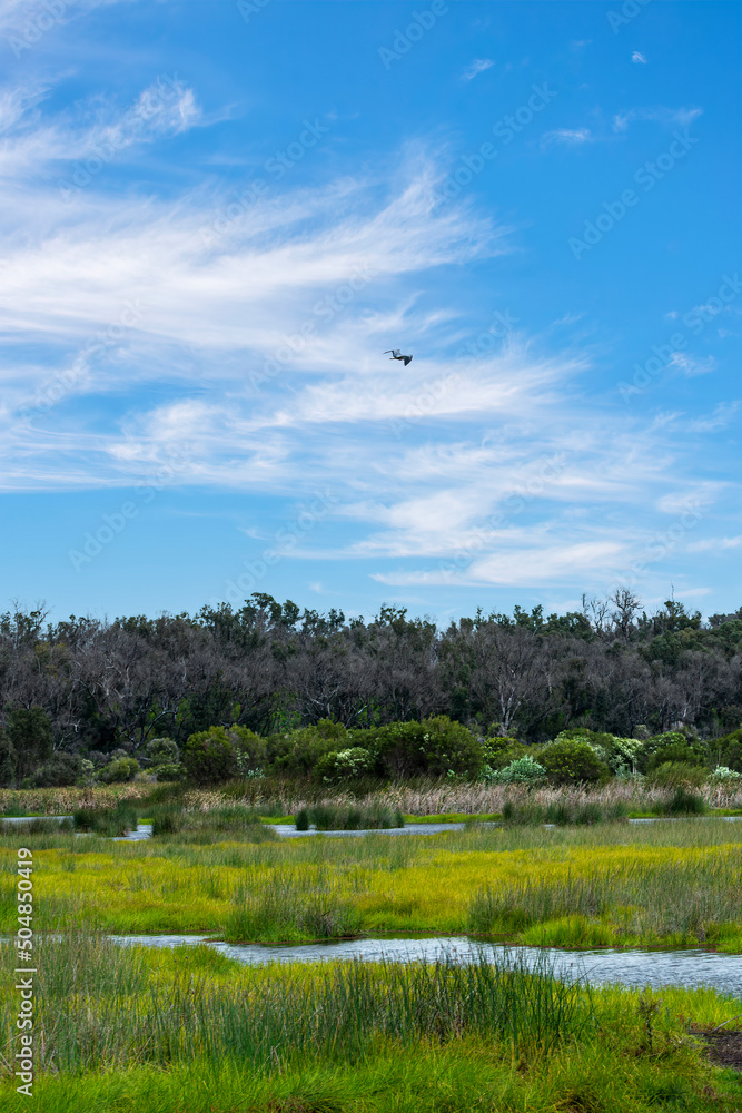 The beauty of Yanchep national park in Perth Western Australia