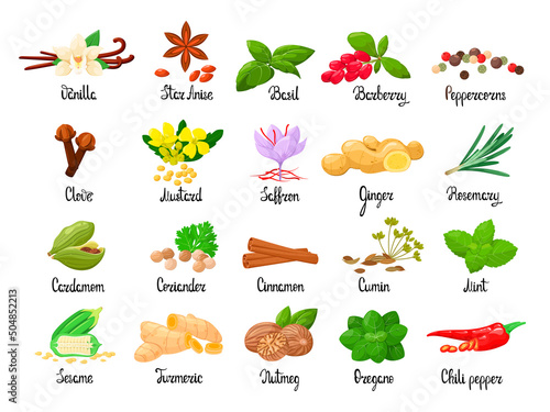 A set of spices on a white background. Vector illustration.
