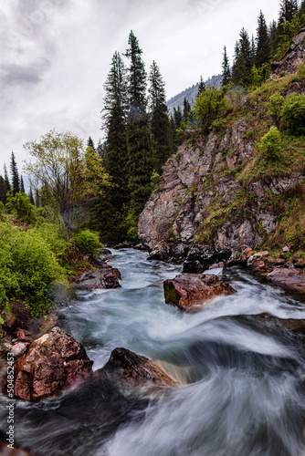 mountain river in the forest