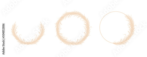 Round frames with dry pampas grass. Wreath of beige cortaderia in boho style. Vector dried flowers isolated on white background. Trendy element design for invitations, postcards, social media.