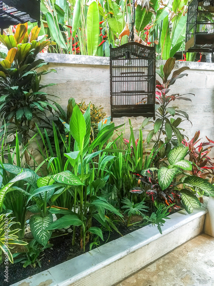 Tropical Garden in Bali Indonesia