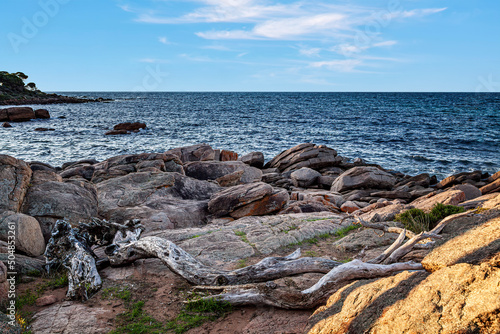 Obraz na płótnie Bunker Bay, Dunsborough, in the South West wine region of Western Australia, w salonie