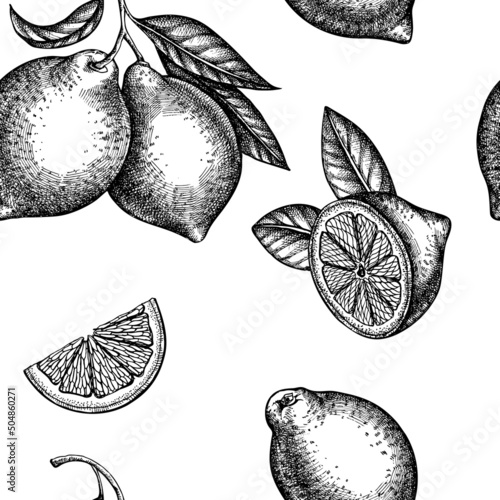 Citrus seamless pattern background design. Engraved style. Hand drawn lemon.