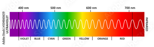 Visible light spectrum, infared and ultraviolet. Electromagnetic visible color spectrum for human eye. Vector gradient diagram with wavelength and colors. Educational illustration on white background.