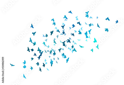 Fototapeta Naklejka Na Ścianę i Meble -  A flock of blue birds. Vector illustration