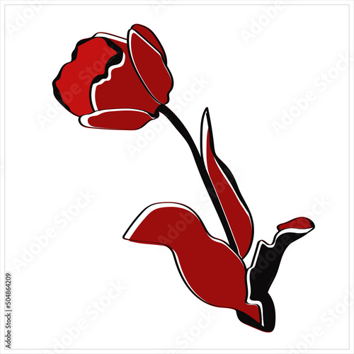 Pattern of tulips.Vector.Graphic image on a white and color background.