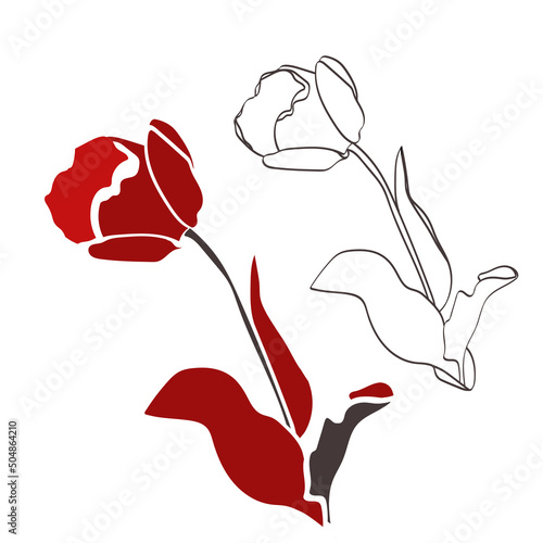 Pattern of tulips.Vector.Graphic image on a white and color background.