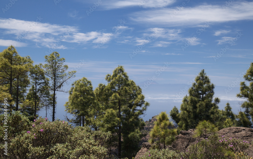 Gran Canaria, landscape of the mountainous part of the island in the Nature Park Tamadaba
Gran Canaria, landscape of the mountainous part of the island in the Nature Park Tamadaba