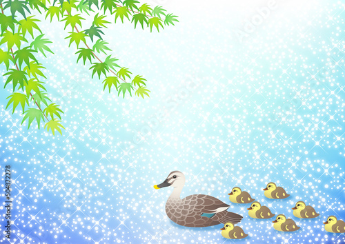 きらめく水面を泳ぐカルガモの家族