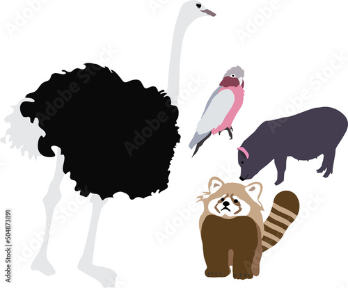 動物のイラストセット　ダチョウ、オウム、ブタ、レッサーパンダ