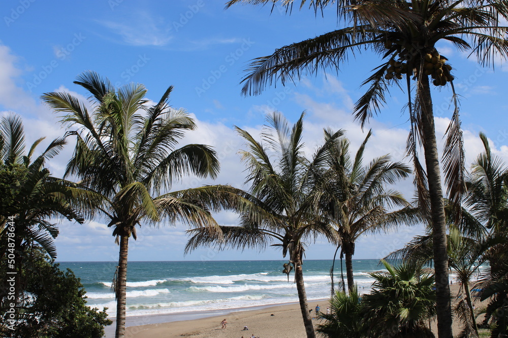 Fototapeta premium beach