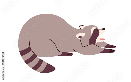 Cute raccoon stretching and yawning in funny pose. Adorable lazy sleepy relaxed racoon. Amusing careless sweet animal character. Flat vector illustration isolated on white background