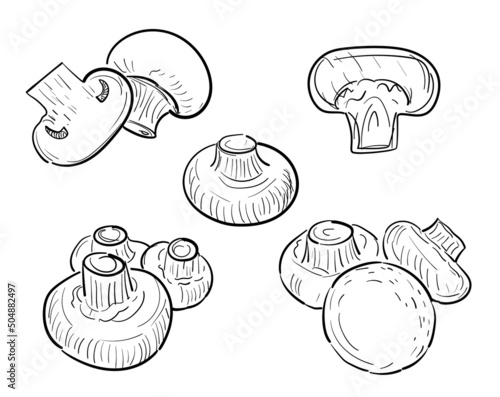 Hand Drawn Sketchy Champignons