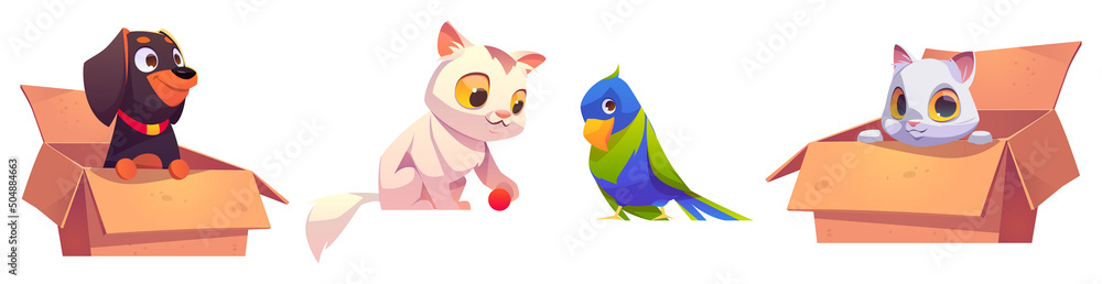 Home pets, cute dog, parrot and cat characters. Vector cartoon set of funny domestic animals and bird. Puppy rottweiler and white kitten in cardboard boxes isolated on background - obrazy, fototapety, plakaty 