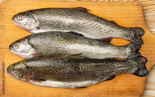 Raw Trout Isolated photo