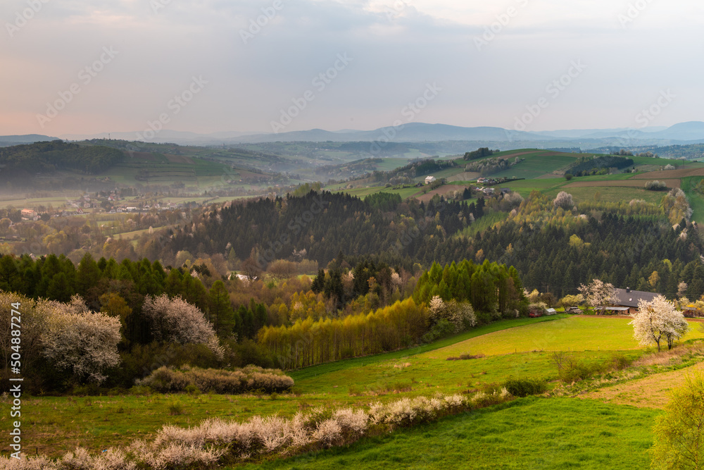Polish Countryside at Spring. Colorful Lush Trees and Pasture