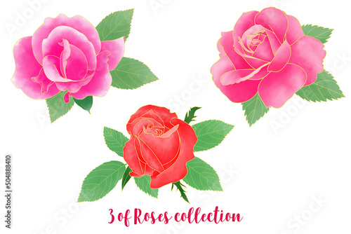 Three of watercolor roses elements collection