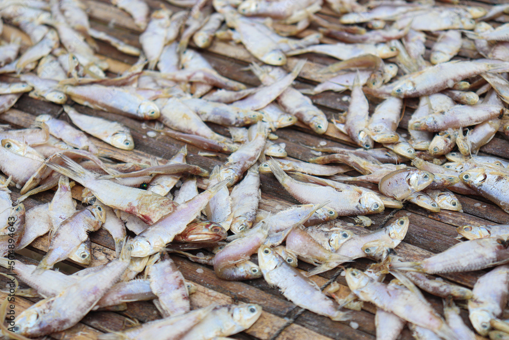 tasty dried and salted fish stock