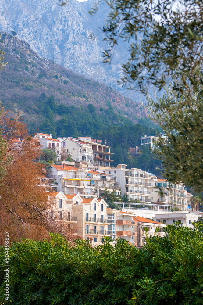 Obraz premium houses in the mountains