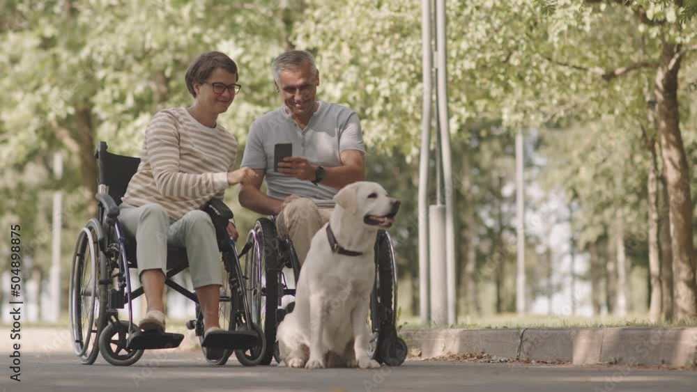 Happy wheelchair couple looking at photos on smartphone while spending time outdoors in park with their cute playful light yellow Labrador Happy wheelchair couple looking at photos on smartphone while spending time outdoors in park with their cute playful light yellow Labrador