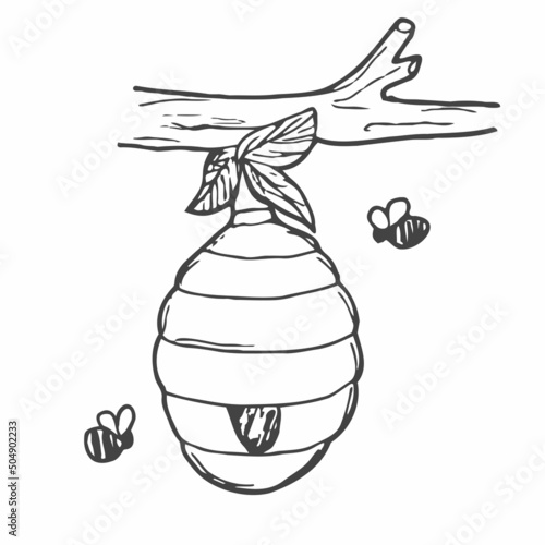 hand drawn bee hive in doodle style. natural bee honey. Vector illustration isolated on white background.
