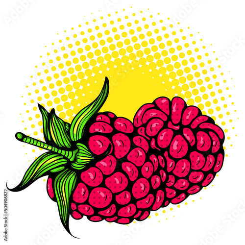 Illustration two raspberries. Fruit close up. Vector bright colored print in Pop Art style. Retro cartoon comic style. Design for stickers, poster
