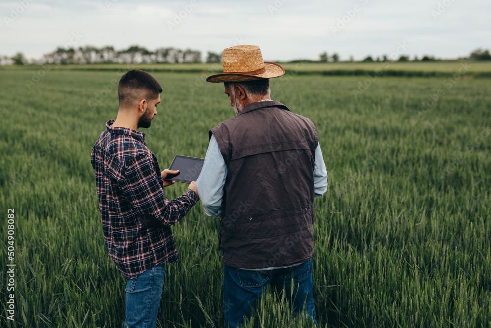 Fototapeta premium farmers talking in wheat field