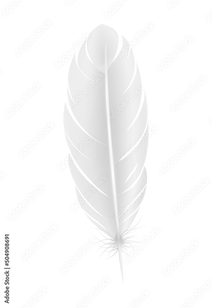 Realistic White Feather Composition