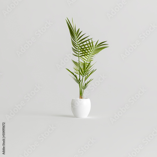 3d illustration of ceramic houseplants isolated on white background