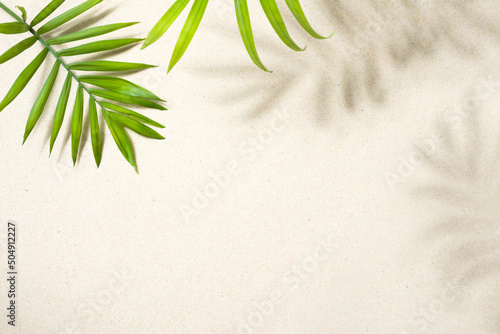 Sandy beach background top view with tropical leaves and shadows