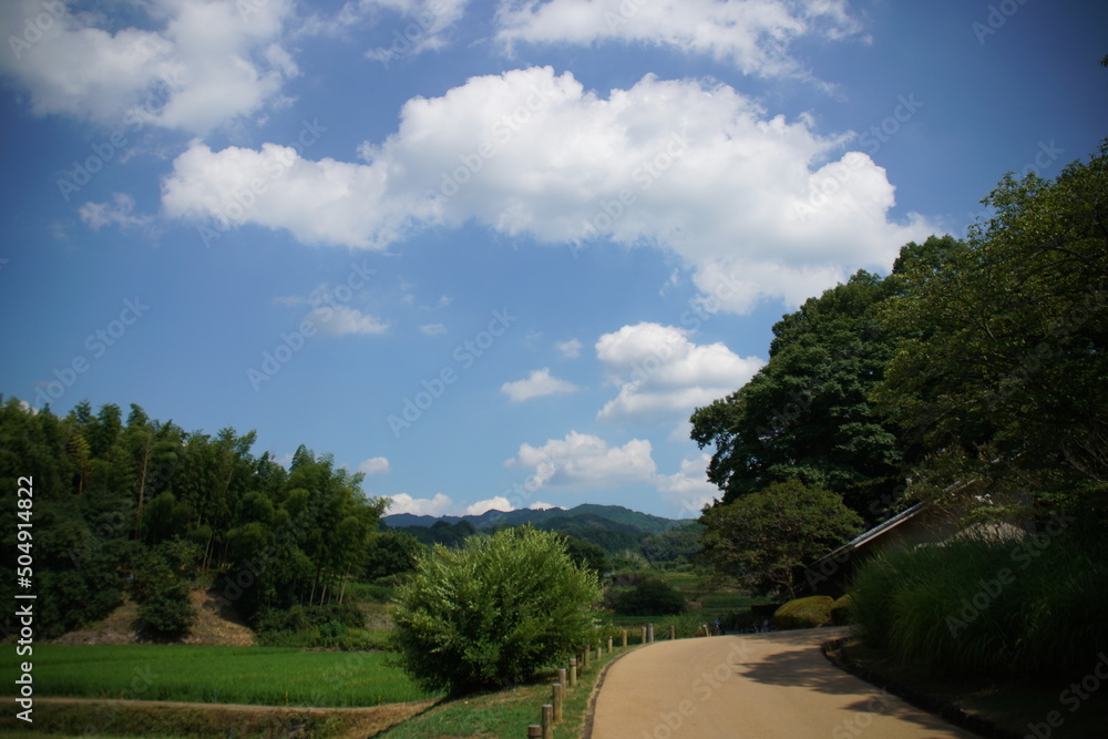 奈良の明日香の夏景色