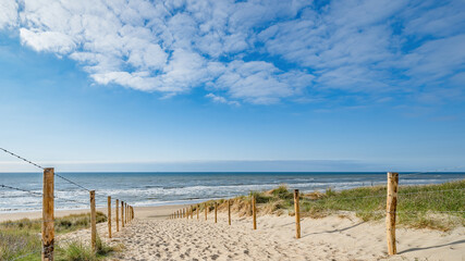 Foto auf Acrylglas Nordsee Ein Weg mit vielen Bahnen, begrenzt durch Holzpfosten auf der Sanddüne mit wildem Gras und Strand in Noordwijk an der Nordsee in Holland Niederlande - Panorama Meereslandschaft mit blauem Himmel und Wolken  © Corri Seizinger