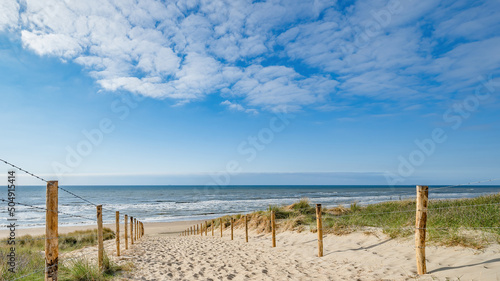 Fototapeta Naklejka Na Ścianę i Meble -  A path with many tracks, delimited by wooden posts on the sand dune with wild grass and beach in Noordwijk on the North Sea in Holland Netherlands - Panorama sea landscape with blue sky and clouds