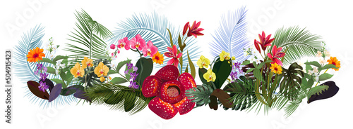 Panoramic view with tropical plants: rafflesia, red, yellow, purple orchids. ...