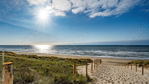 A path with many tracks, delimited by wooden posts on the sand dune with wild grass and beach in Noordwijk on the North Sea in Holland Netherlands - Panorama sea landscape with blue sky and clouds photo