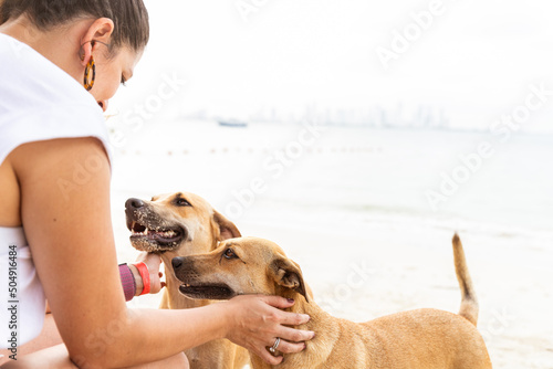 Obraz na plátně Woman stroking two mongrel dogs in a beach