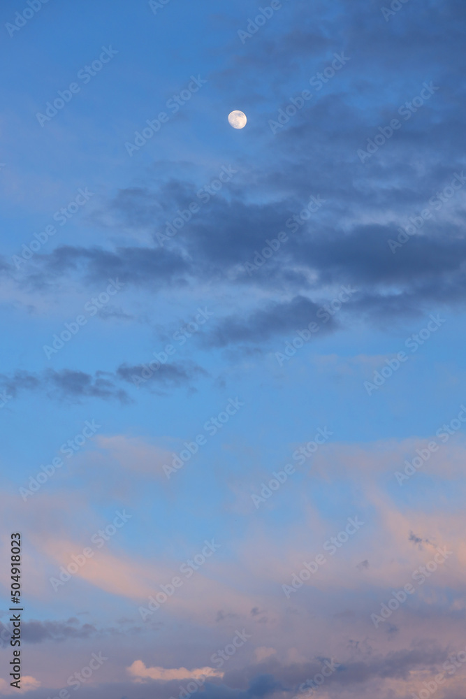 The moon and clouds in the evening blue-pink sky, vertically.