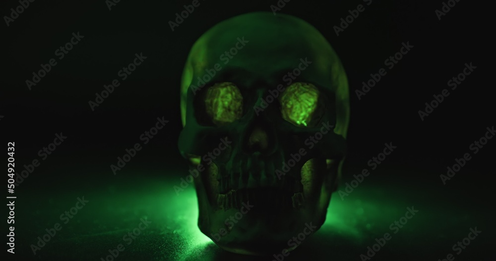 Skull with colored lighting loop closeup Skull with colored lighting loop closeup