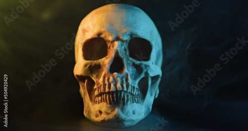 Skull with colored lighting loop closeup