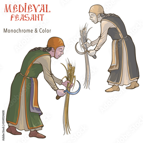 Medieval woman peasant harvesting crops with a sickle in the field. Medieval gothic style character concept art. Color and Monochrome drawing isolated on white background. EPS10 vector illustration