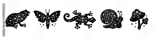 Witch animal vector. Toad frog lizard moth snail mushroom. Halloween black icon set. Isolated cartoon mystic silhouette collection. Alchemy symbols, magic witch reptile. Esoteric potion recipe element