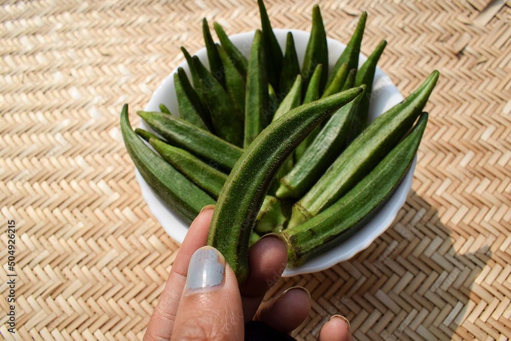 Female holding Fresh Okra vegetable or Green vegetables Lady finger or
