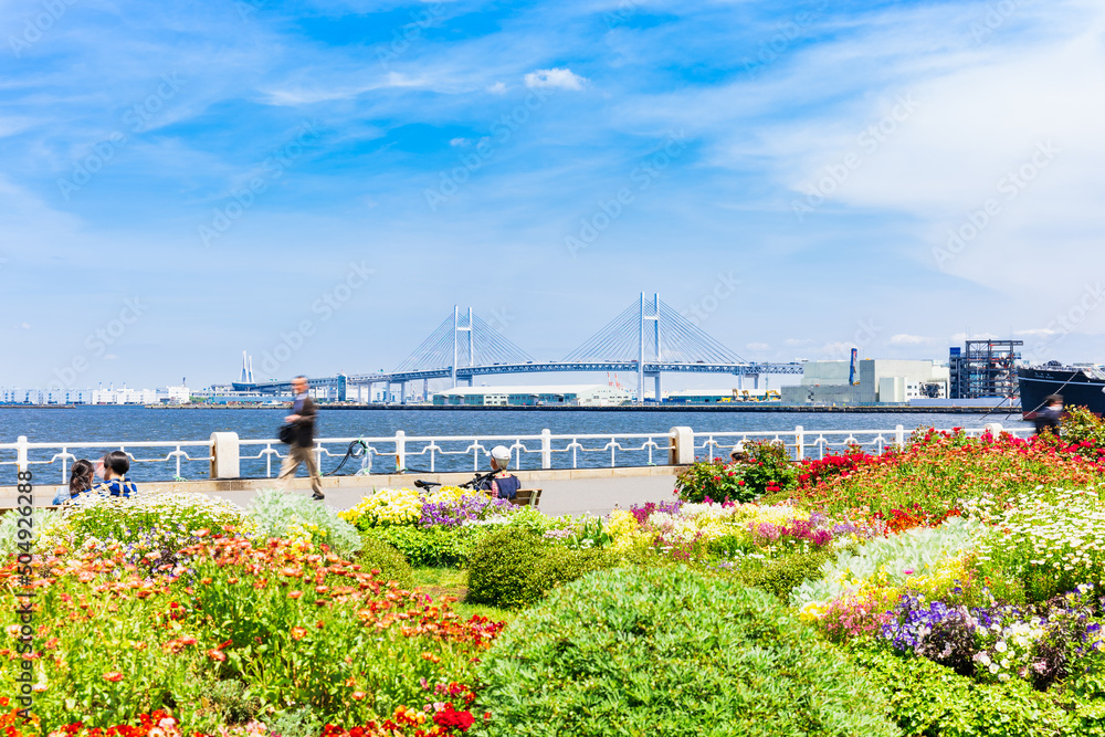 横浜 山下公園とベイブリッジ
