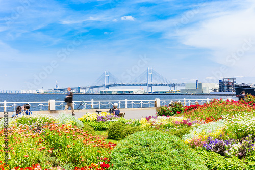 Obraz na płótnie 横浜 山下公園とベイブリッジ w salonie