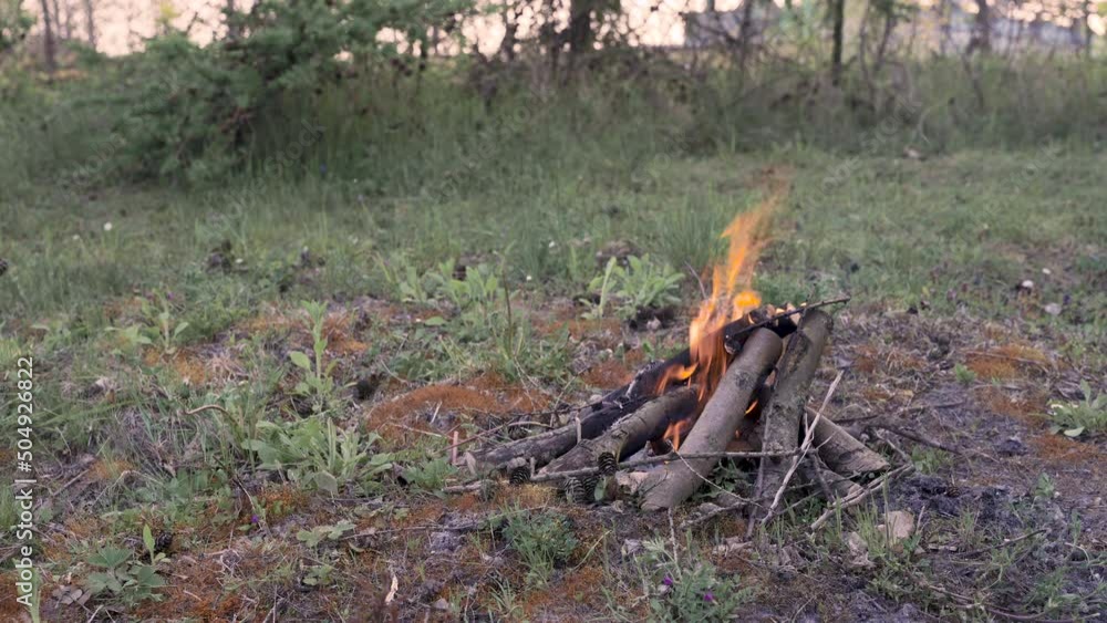 Fire burning in the woods at sunset. Camp in a forest clearing. Fire burning in the woods at sunset. Camp in a forest clearing.